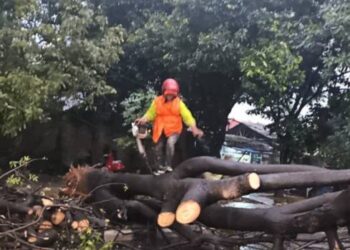 CREATOR: gd-jpeg v1.0 (using IJG JPEG v80), quality = 70?