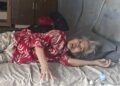 oplus_27263008